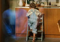 tt-tripptrapp04coockieladder250611-3364-kopie