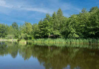 wunderwelt-wasser